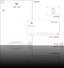 Bloc de correspondance pour Ylang Tours (IUT SRC)