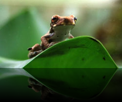 Documentaire sur l'Equateur, Amérique du Sud 'My Dearest Ecuador' - Full HD