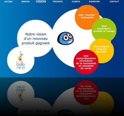 Site Web (FullFlash) d'une agence de conseils en innovation - www.bellemine.com