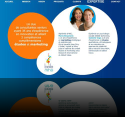Site Web (FullFlash) d'une agence de conseils en innovation - www.bellemine.com
