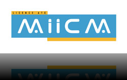 Logo vectorisé pour la licence MIICM de Marne-la-Vallée
