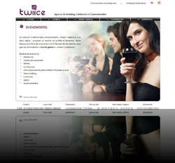 Site vitrine pour une agence de communication - www.twiice.fr